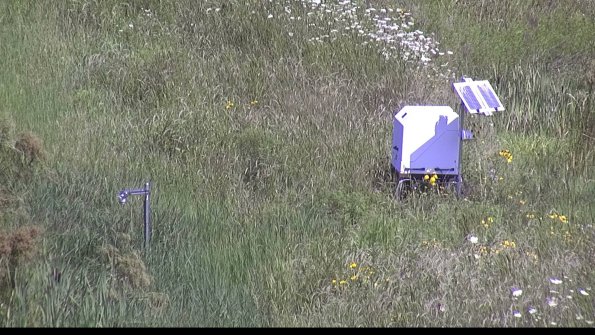 capture-6-23-07-31_11-30-24-35