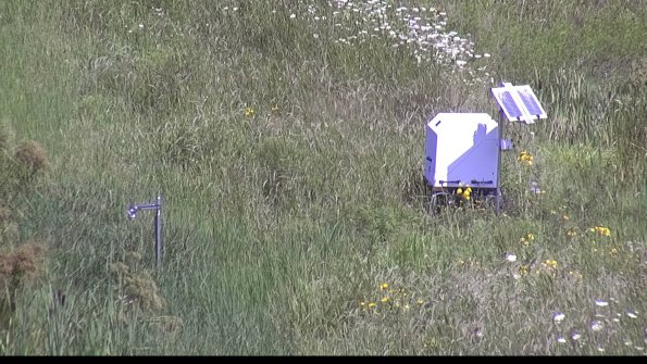 capture-6-23-07-31_11-36-53-44