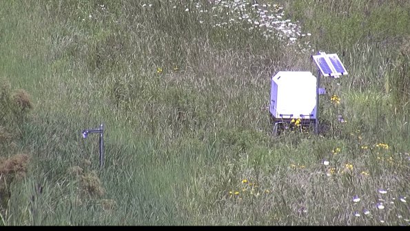 capture-6-23-07-31_13-13-43-28