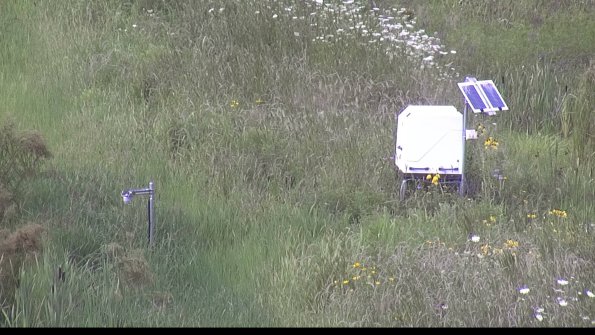 capture-6-23-07-31_15-22-00-22