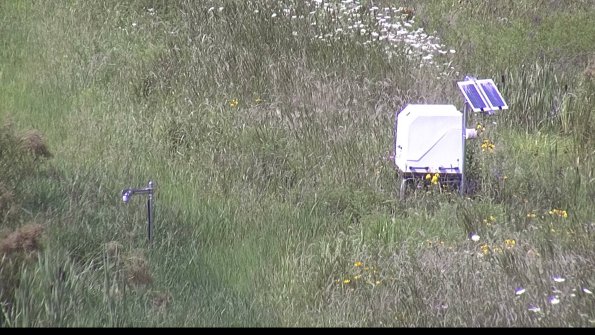 capture-6-23-07-31_15-35-00-03