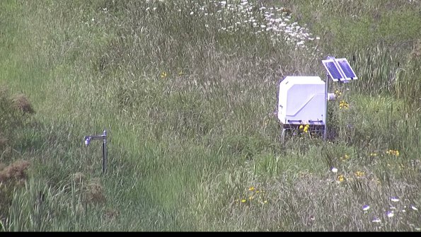 capture-6-23-07-31_15-58-50-04