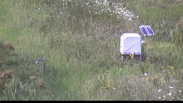 capture-6-23-07-31_16-11-50-22