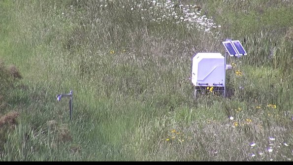 capture-6-23-07-31_16-14-00-32