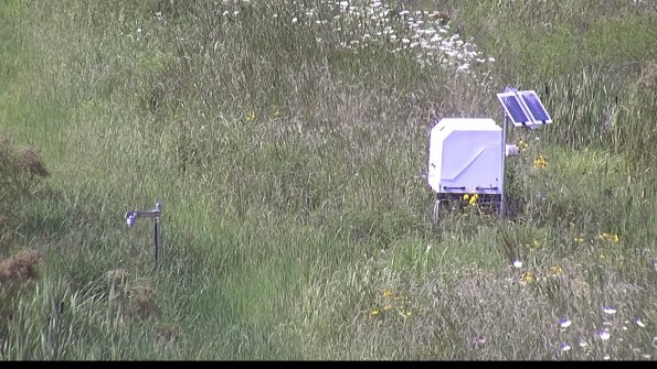 capture-6-23-07-31_16-16-11-11