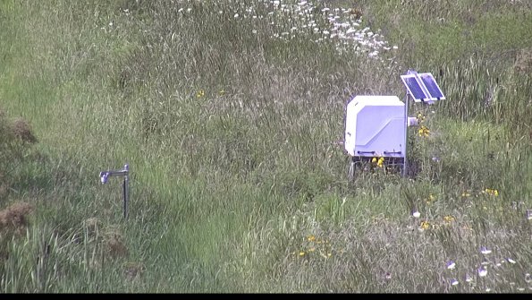 capture-6-23-07-31_16-20-30-18