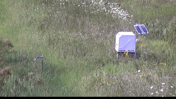 capture-6-23-07-31_16-37-50-19