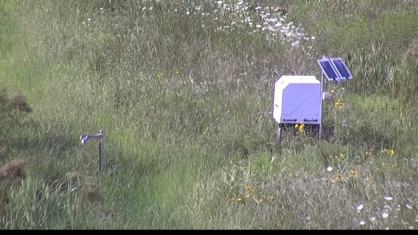 capture-6-23-07-31_17-12-30-24