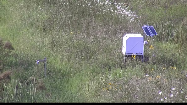 capture-6-23-07-31_17-25-30-22