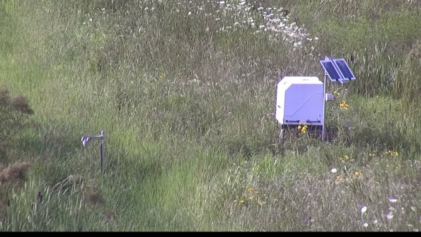 capture-6-23-07-31_17-55-50-08