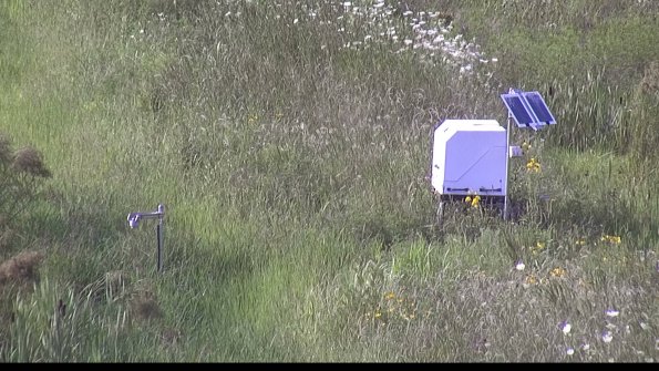 capture-6-23-07-31_18-00-11-18