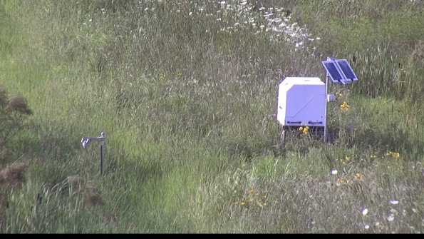 capture-6-23-07-31_18-04-30-11