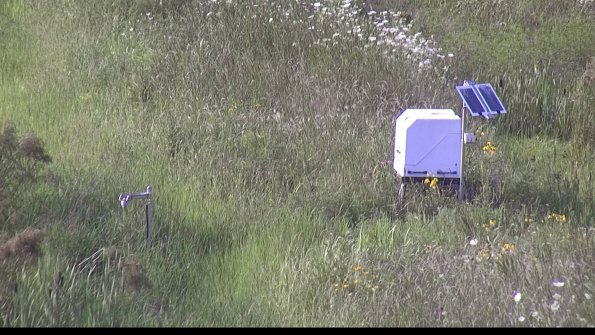 capture-6-23-07-31_18-19-40-02