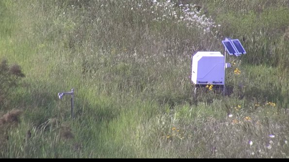 capture-6-23-07-31_18-43-29-99