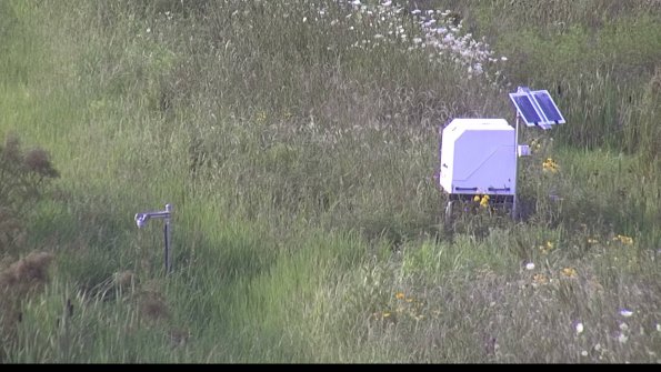 capture-6-23-07-31_18-50-01-01