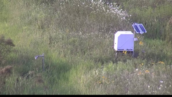 capture-6-23-07-31_19-33-01-04