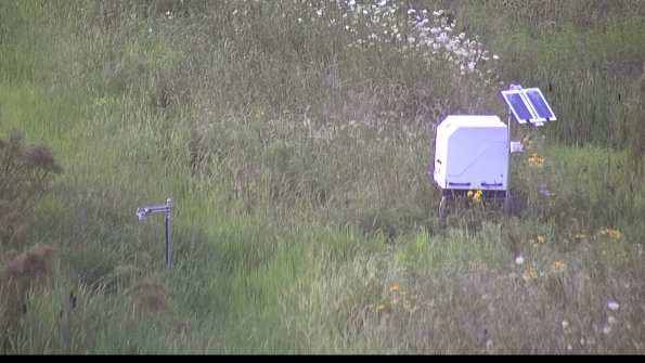 capture-6-23-07-31_20-17-17-17