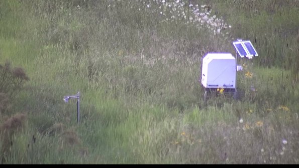 capture-6-23-07-31_20-28-05-79