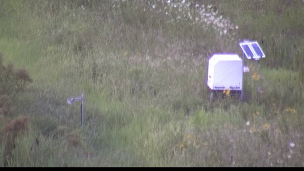 capture-6-23-07-31_20-58-25-96