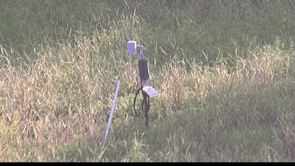 capture-7-23-07-31_08-01-23-18