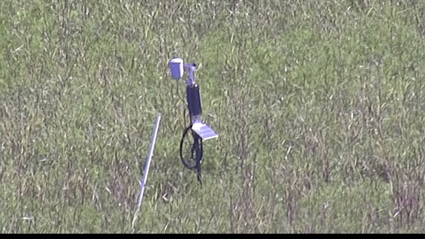 capture-7-23-07-31_10-16-54-19