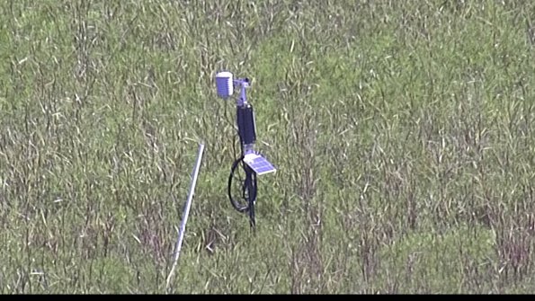 capture-7-23-07-31_10-42-54-36