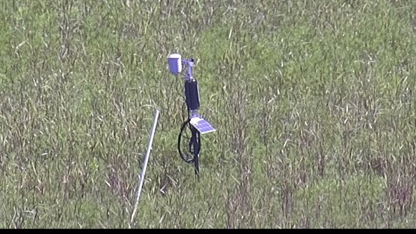 capture-7-23-07-31_10-47-14-22