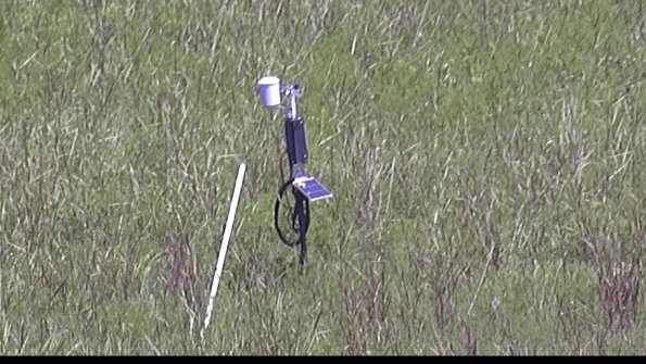 capture-7-23-07-31_13-11-42-50