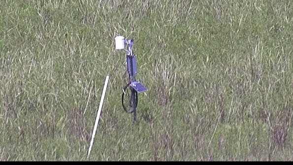 capture-7-23-07-31_16-14-10-39