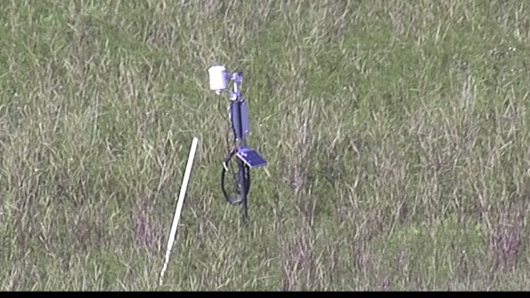 capture-7-23-07-31_17-45-10-31