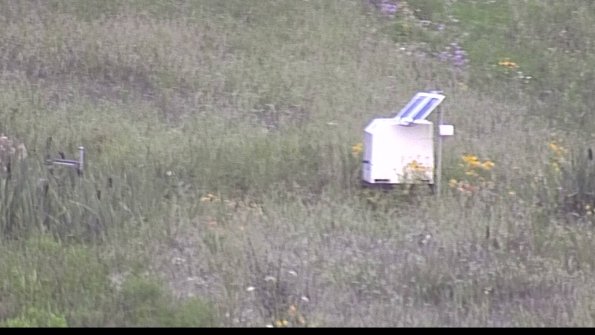 capture-4-23-08-01_07-13-53-40