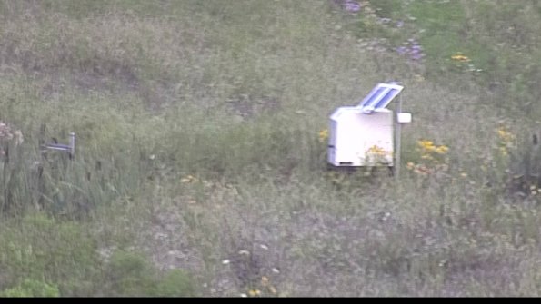 capture-4-23-08-01_07-31-13-51