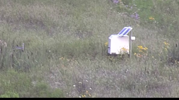 capture-4-23-08-01_07-42-03-46