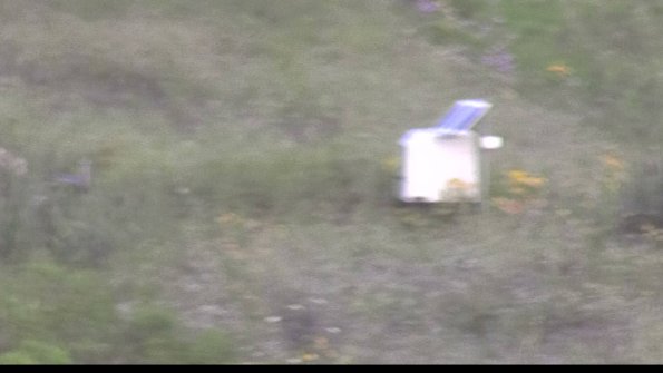 capture-4-23-08-01_07-52-52-51