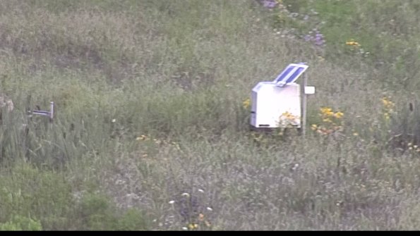 capture-4-23-08-01_08-12-22-75