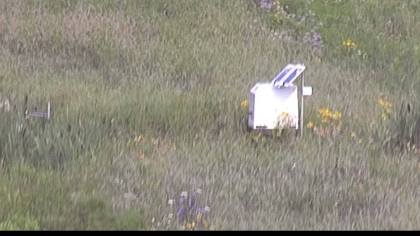 capture-4-23-08-01_09-12-53-27