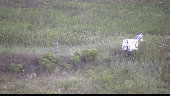 capture-5-23-08-01_07-18-22-43