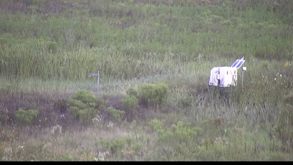 capture-5-23-08-01_07-27-02-42