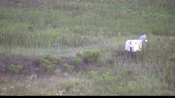 capture-5-23-08-01_07-35-43-28