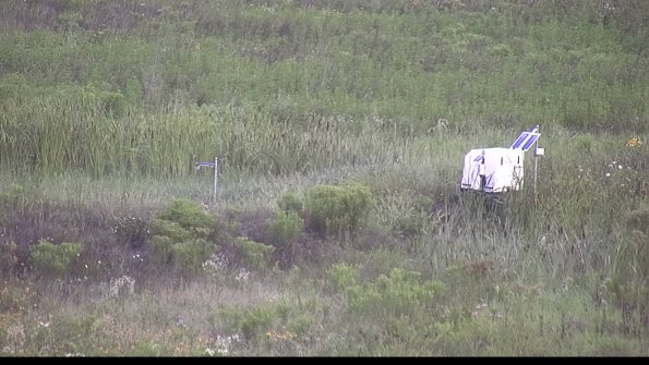 capture-5-23-08-01_07-50-53-29