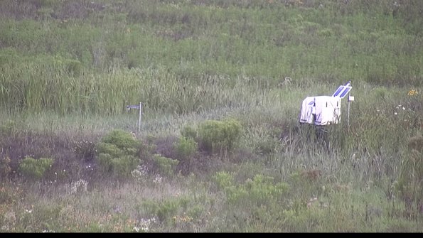 capture-5-23-08-01_07-53-03-22