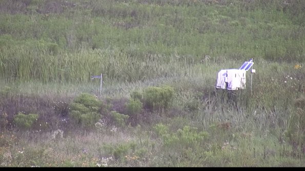 capture-5-23-08-01_07-55-13-29