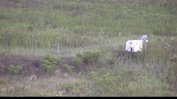 capture-5-23-08-01_08-03-53-17