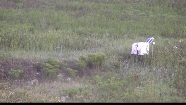 capture-5-23-08-01_08-16-53-12