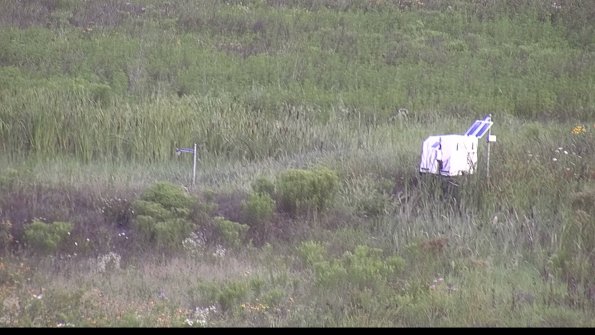 capture-5-23-08-01_08-19-03-16