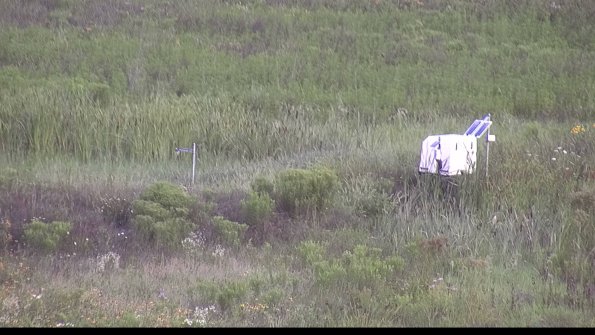 capture-5-23-08-01_08-23-23-18