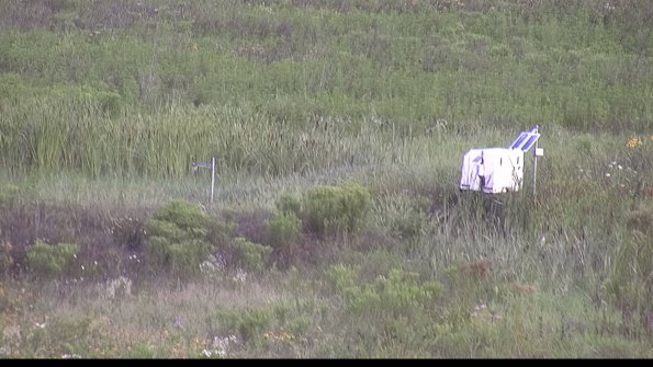 capture-5-23-08-01_08-25-33-15