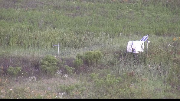 capture-5-23-08-01_08-40-43-36