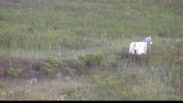 capture-5-23-08-01_08-45-03-29