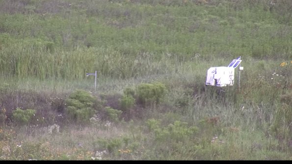 capture-5-23-08-01_08-51-32-65